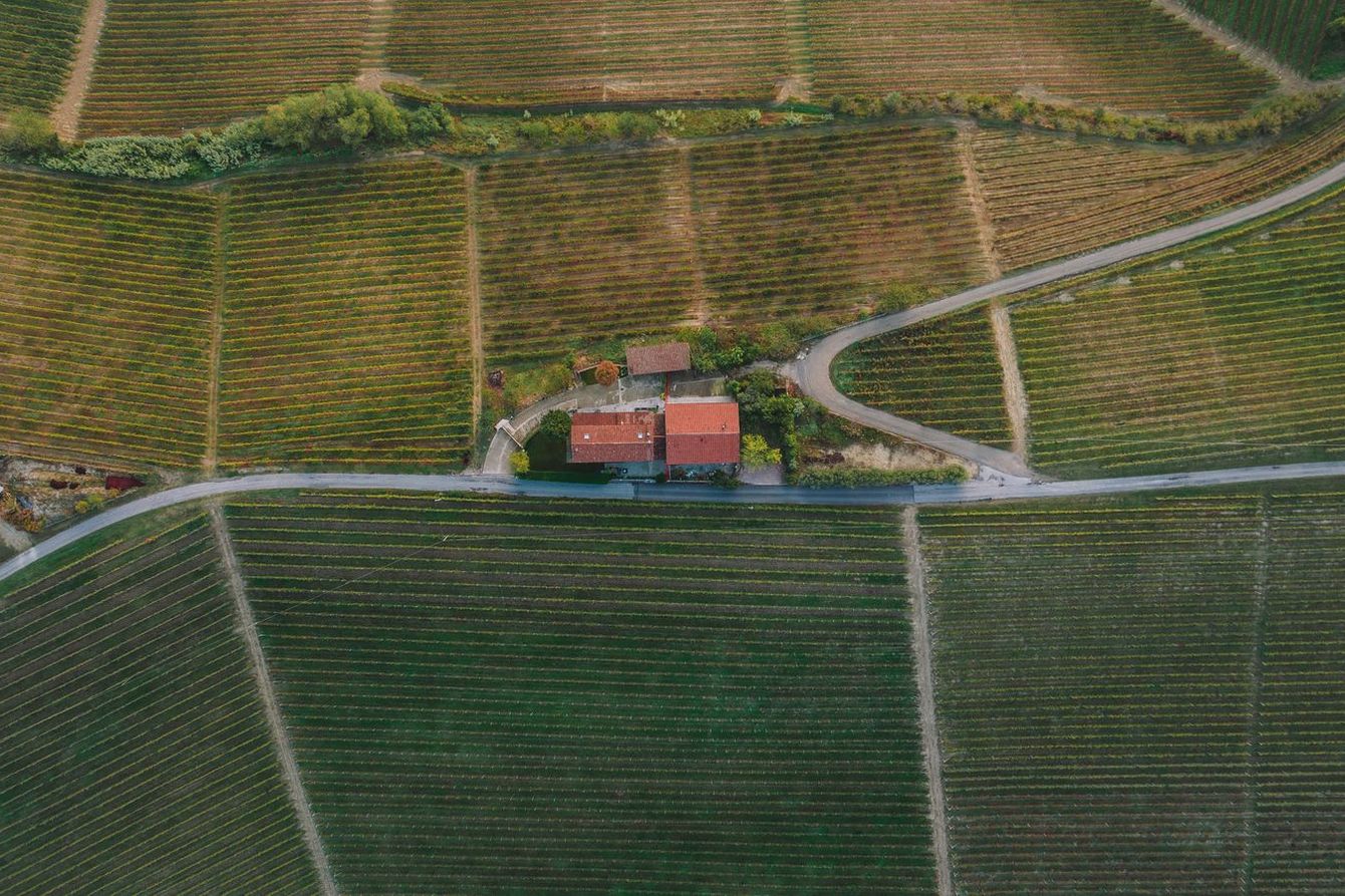 Aerial view of vineyards around a farmhouse with red roofs