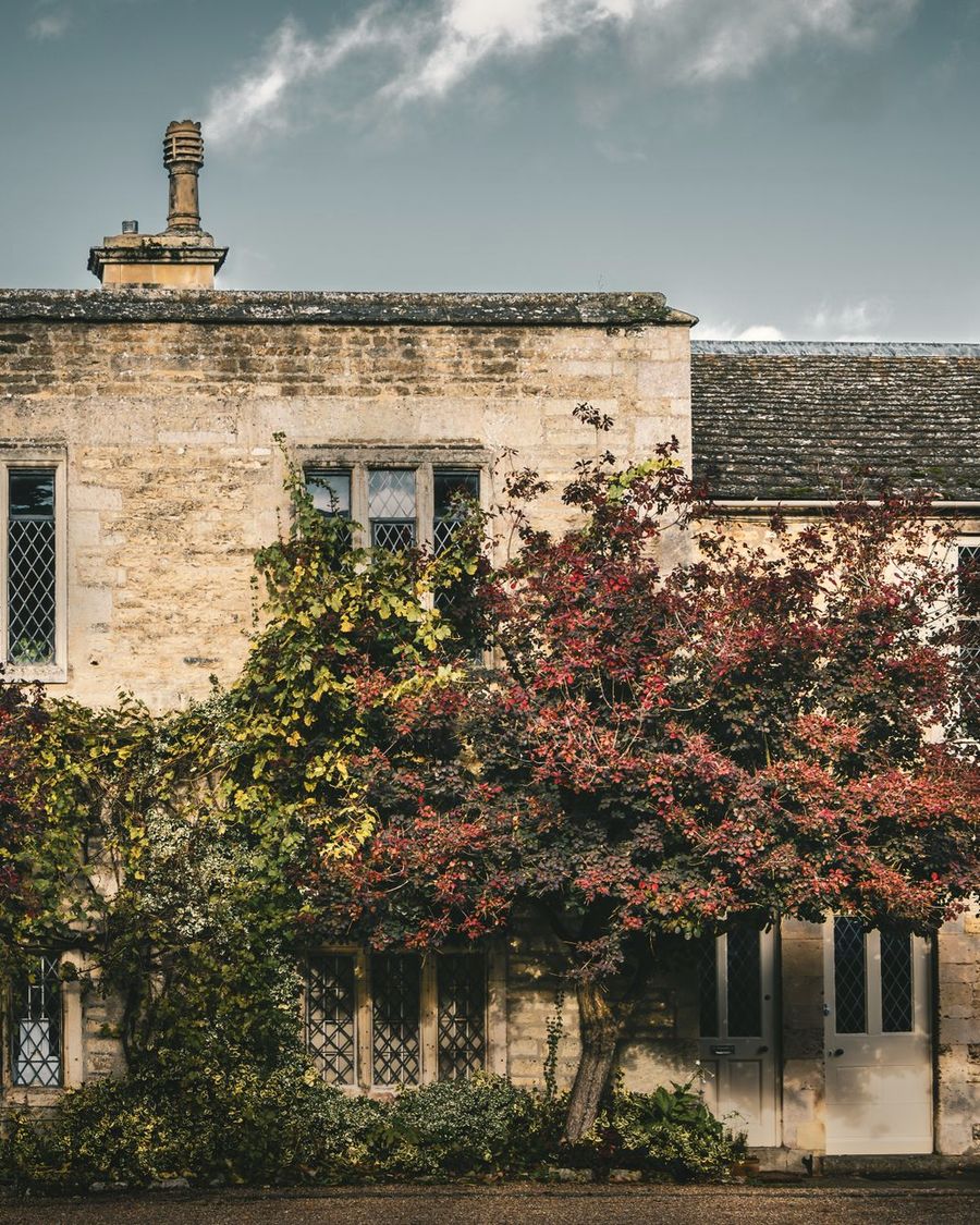 An old stone house with leaded windows behind an autumn tree